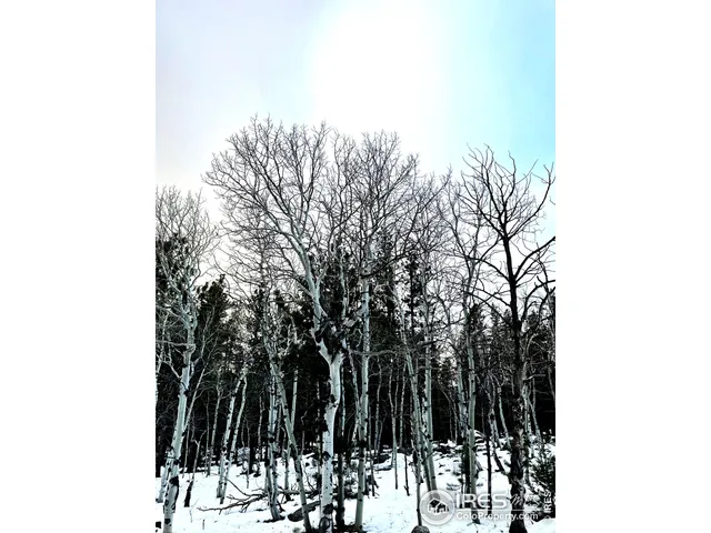 a view of a backyard of a house