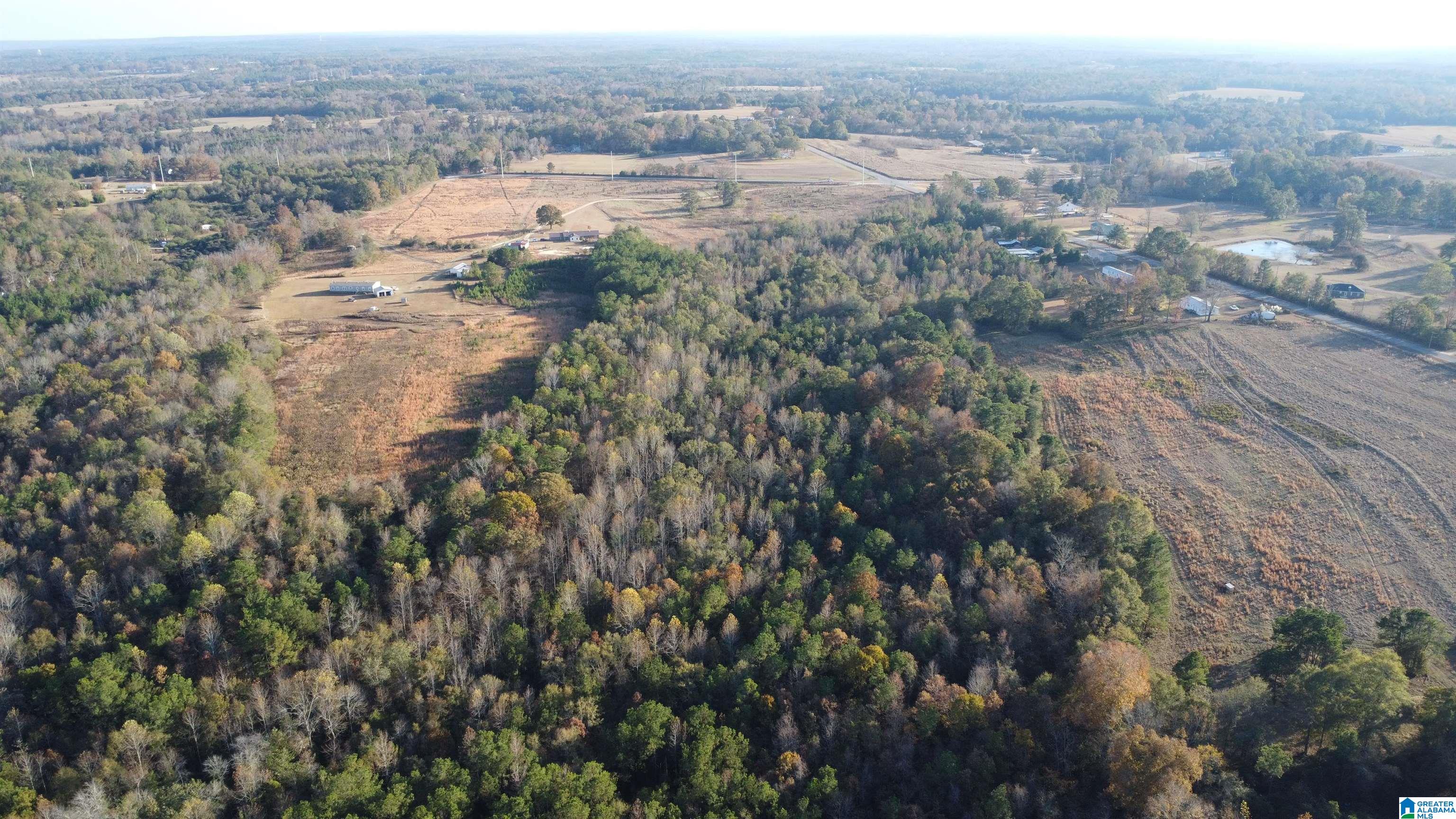 6951 County Road 24 Clanton, AL 35045 - Photo 10 of 13