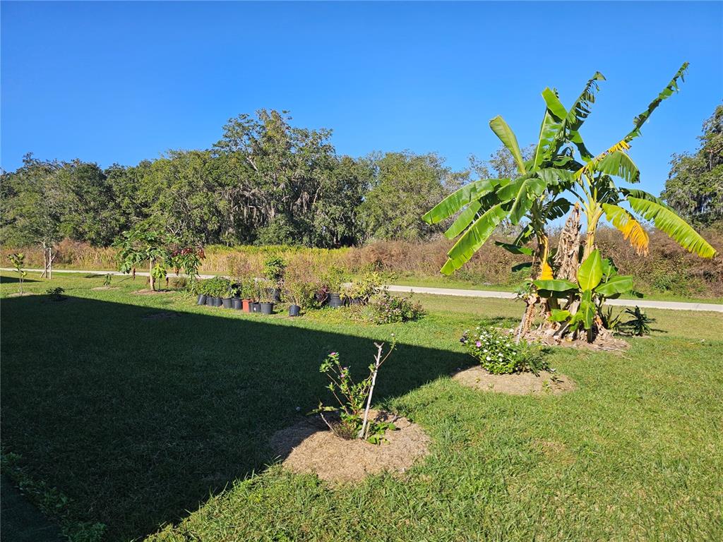 2045 Rankin Street Kissimmee, FL 34744 - Photo 33 of 38 a view of a lake with a big yard