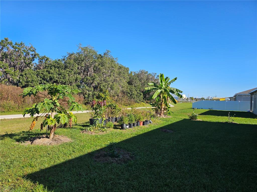 2045 Rankin Street Kissimmee, FL 34744 - Photo 35 of 38 a view of a golf course with a lake