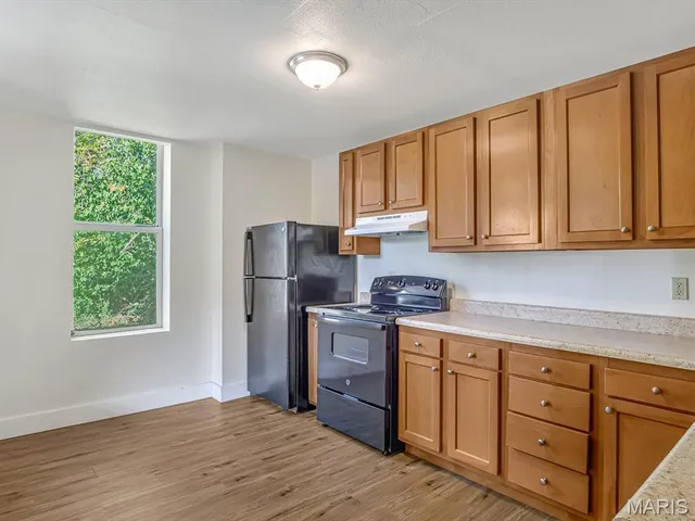 $125,000 | 221 North 2nd Street, Belleville, IL 62220