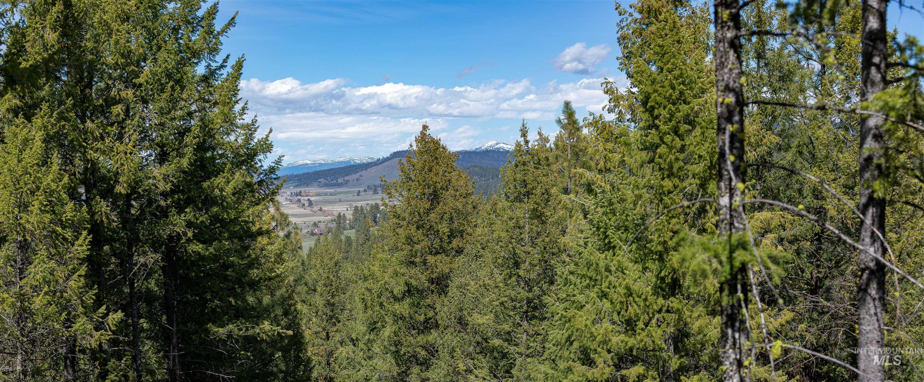 1562 Crown Point Parkway Cascade, ID 83611 - Photo 2 of 22