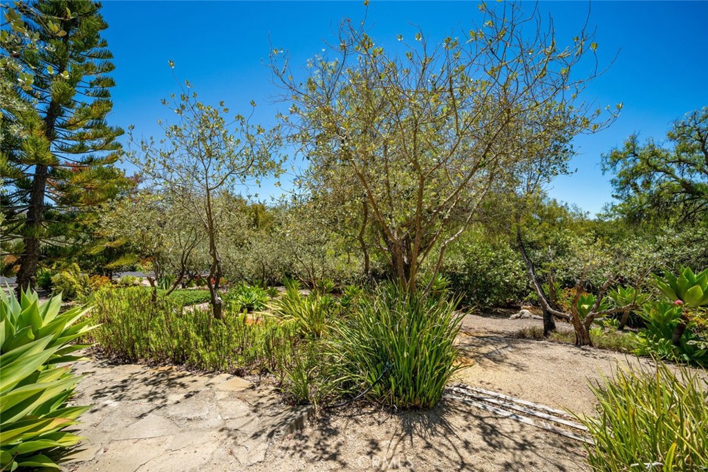 225 Broken Arrow Road Nipomo, CA 93444 - Photo 60 of 75