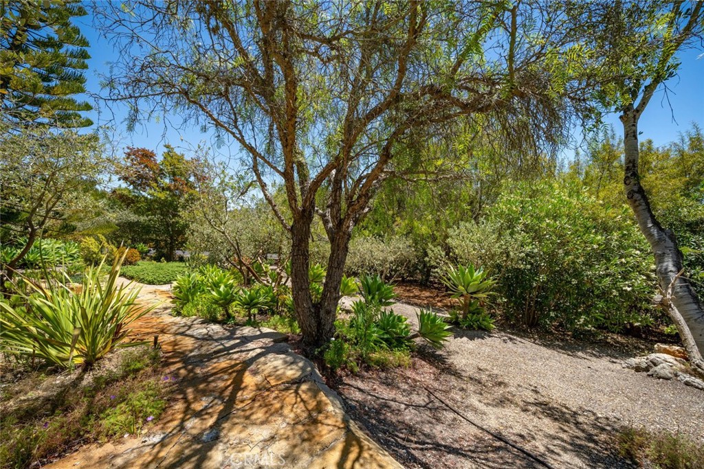 225 Broken Arrow Road Nipomo, CA 93444 - Photo 61 of 75 a backyard of a house with lots of green space