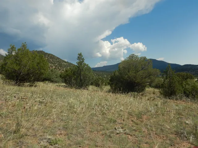 a view of a dry yard with mountains in the background