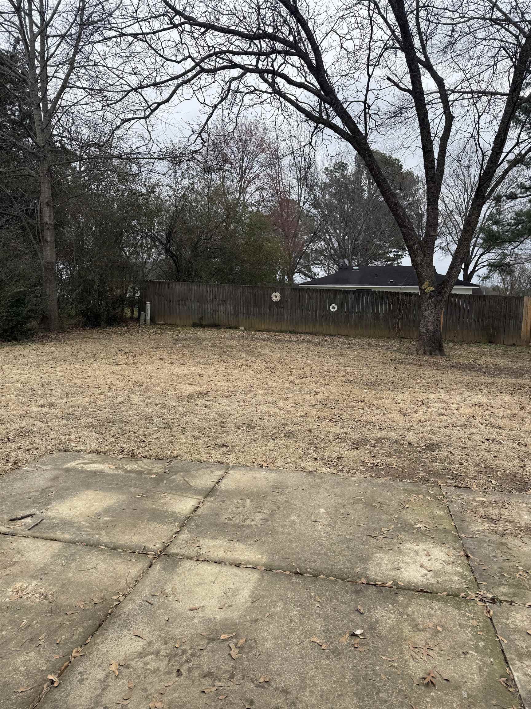928 Poplar Leaf Road Collierville, TN 38017 - Photo 8 of 8 View of fenced yard