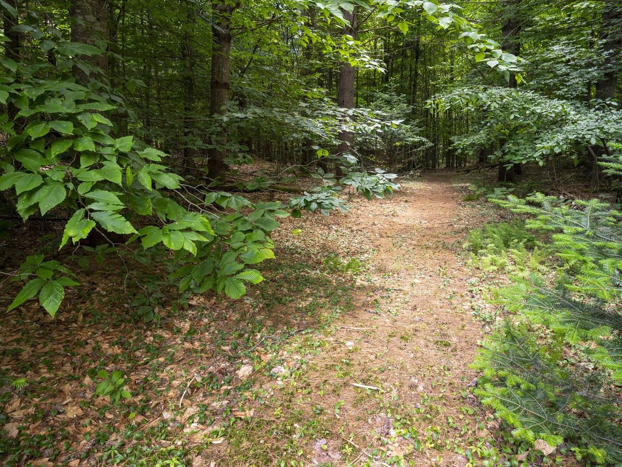 152 Wood Road Middlesex, VT 05682 - Photo 43 of 54