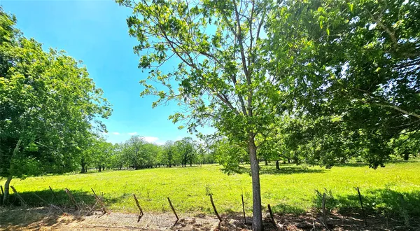 $230,000 | 0 Cr 153 Boling Tx 77420, Boling, TX 77420