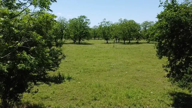 $230,000 | 0 Cr 153 Boling Tx 77420, Boling, TX 77420