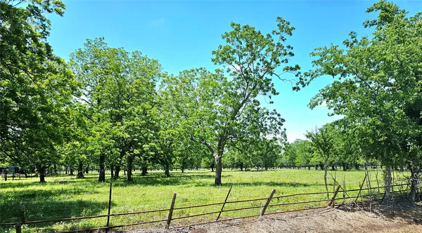 $230,000 | 0 Cr 153 Boling Tx 77420, Boling, TX 77420