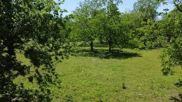 $230,000 | 0 Cr 153 Boling Tx 77420, Boling, TX 77420