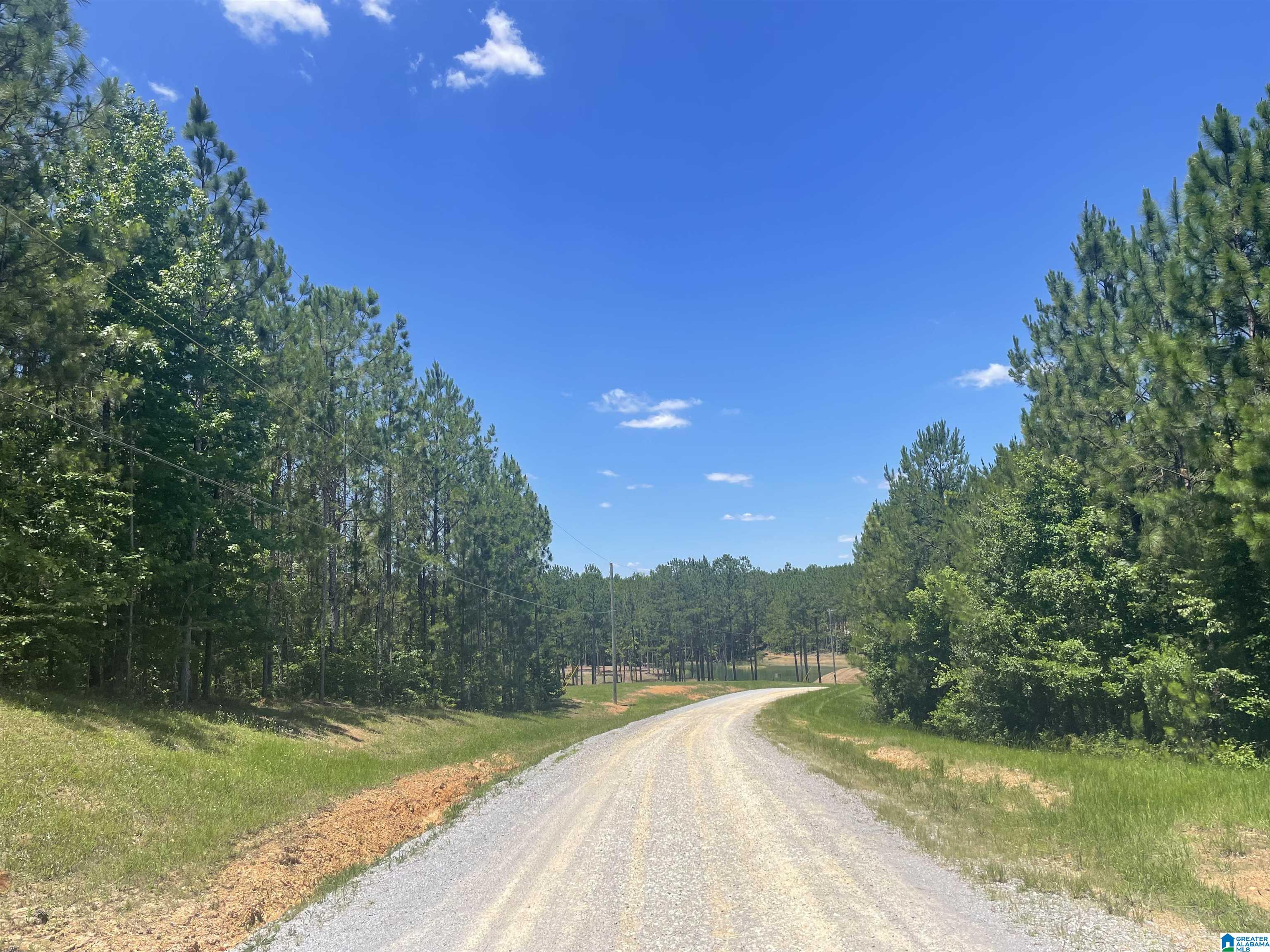 0 Chelsea Farms Road, Unit 24 Chelsea, AL 35043 - Photo 32 of 37