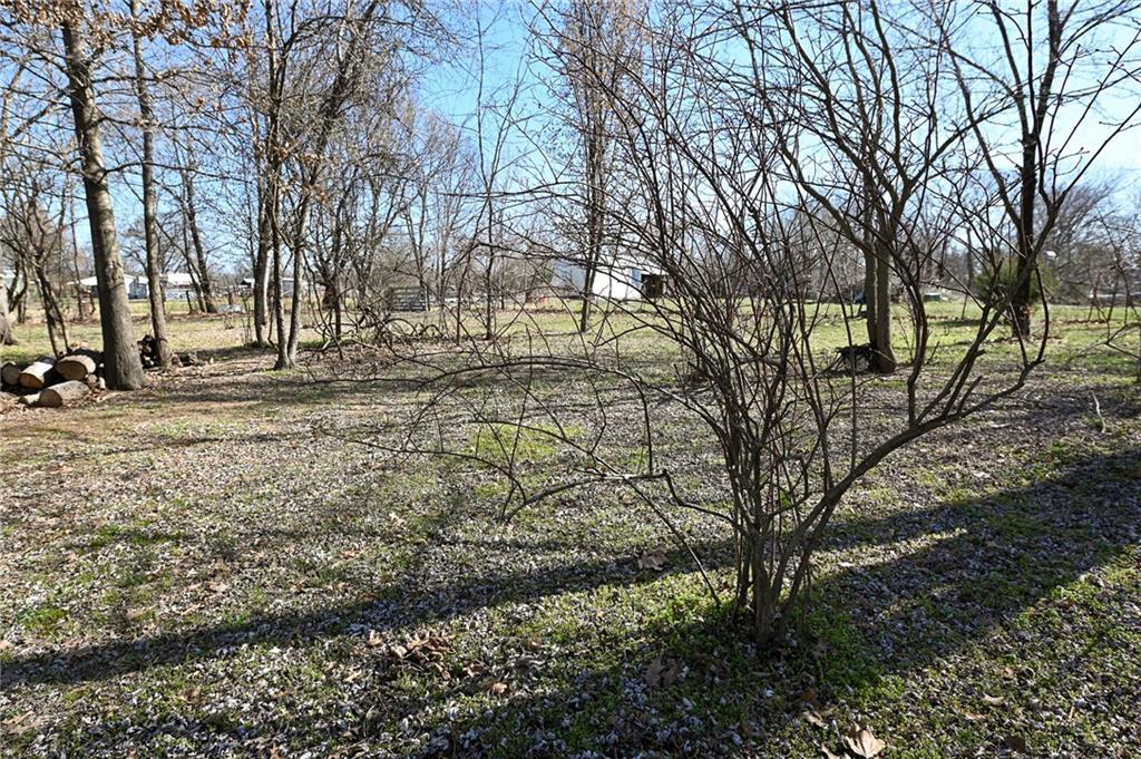 1875 East 166 Road El Dorado Springs, MO 64744 - Photo 8 of 27