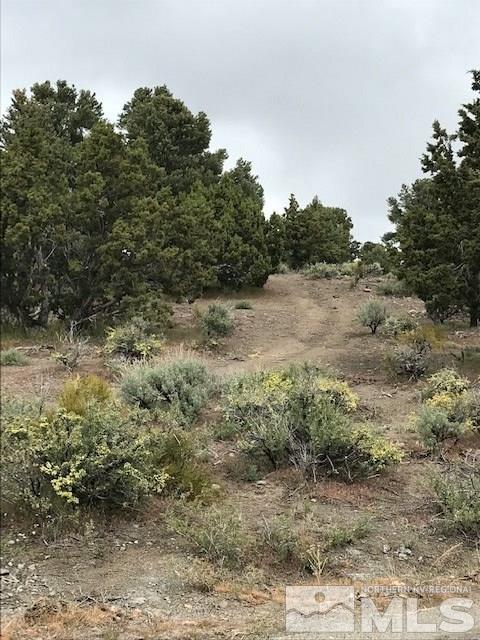 2318 Cartwright Road, Unit 4 Reno, NV 89521 - Photo 3 of 3 Photo 3