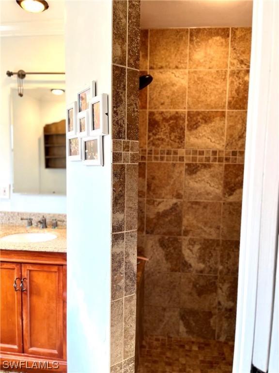 17209 Trellis Road Fort Myers, FL 33967 - Photo 22 of 23 a bathroom with a shower and a sink
