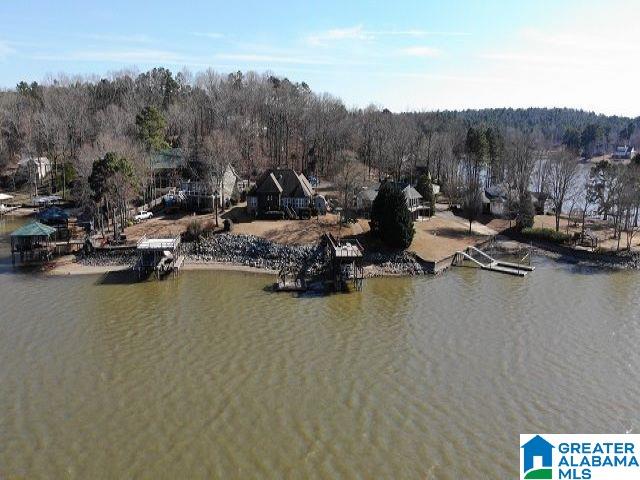 386 Lakeview Circle Alpine, AL 35014 - Photo 43 of 48