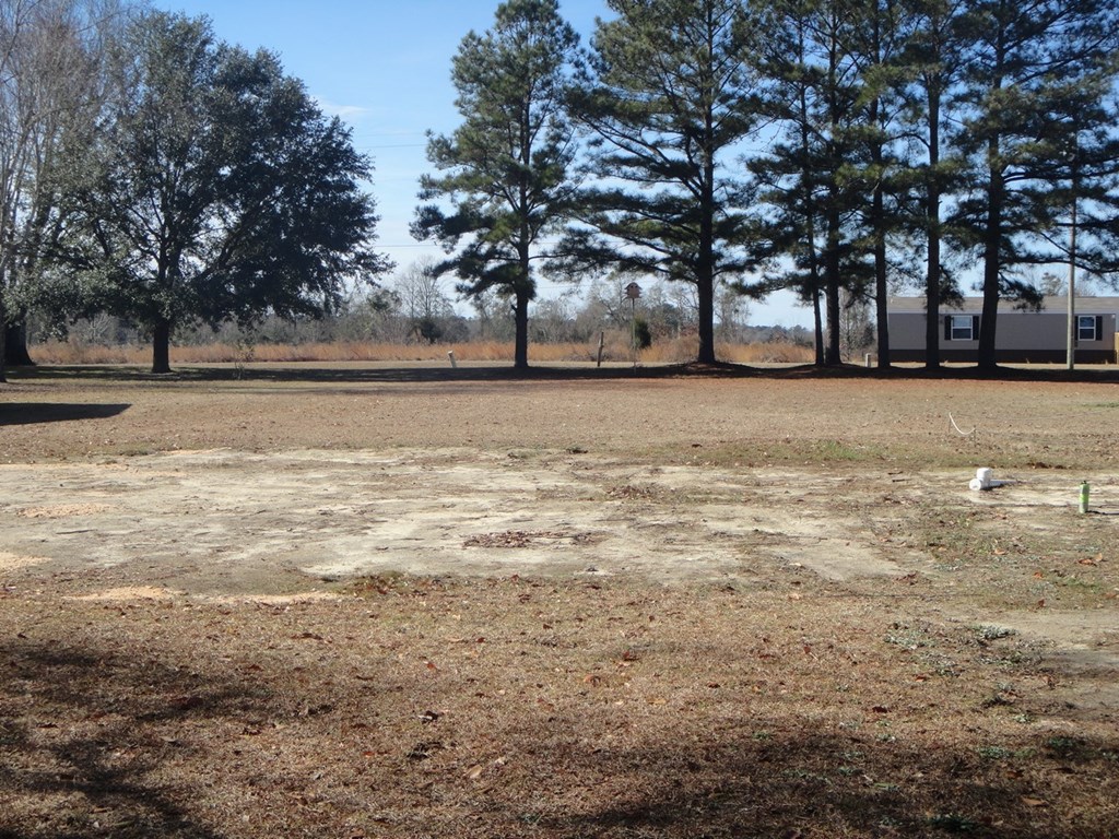 2791 Calhoun Drive Abbeville, AL 36310 - Photo 12 of 12