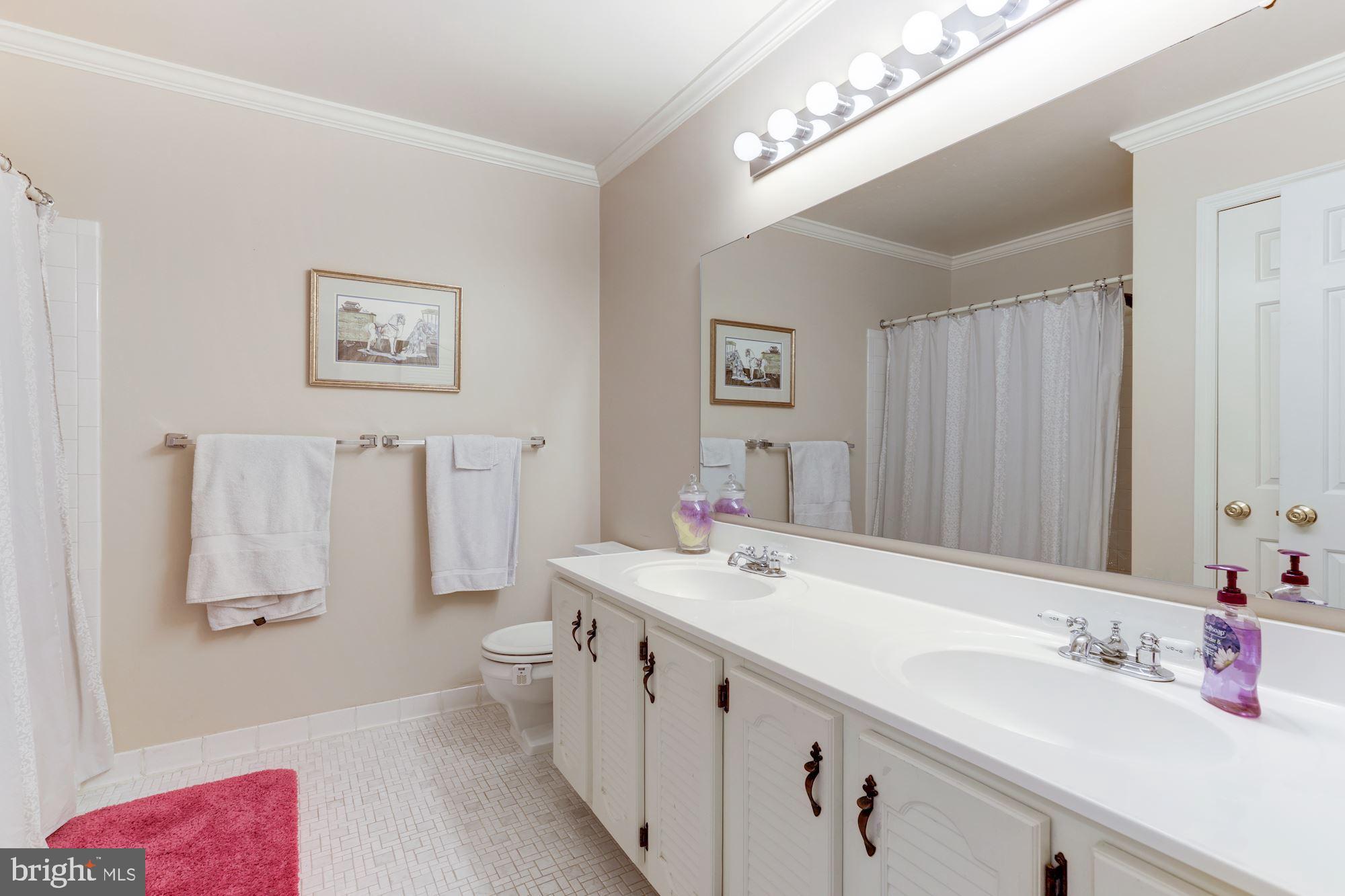 4528 Gilbertson Road Fairfax, VA 22032 - Photo 19 of 31