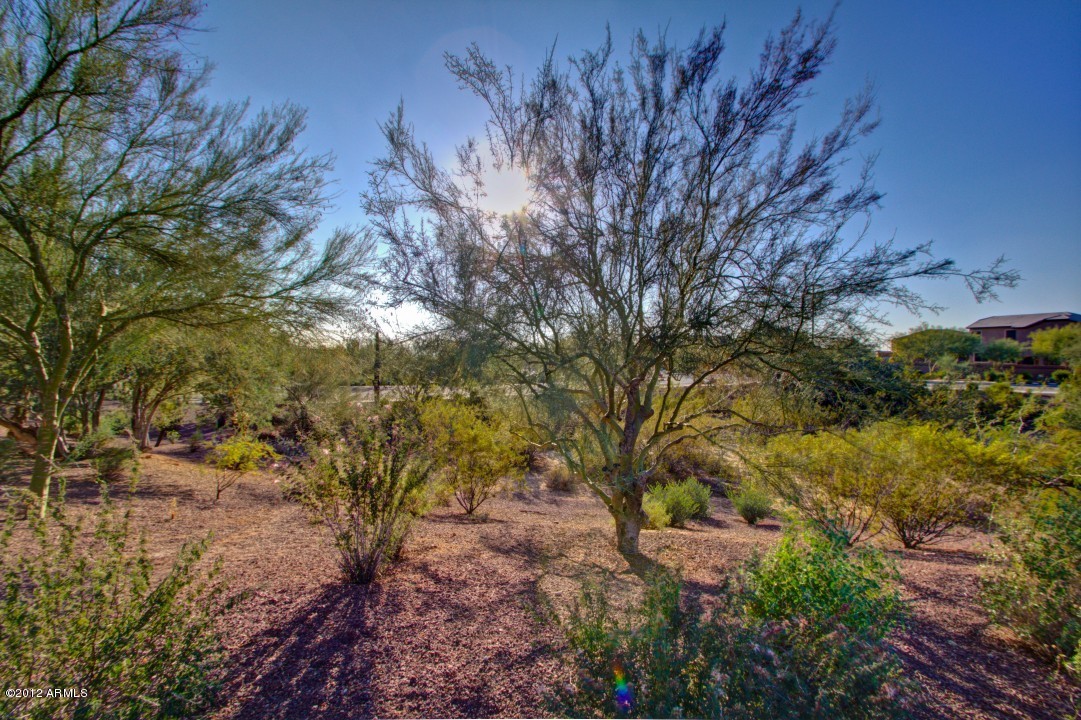 2217 West Eagle Feather Road Phoenix, AZ 85085 - Photo 34 of 34 IMG_7932_3_4