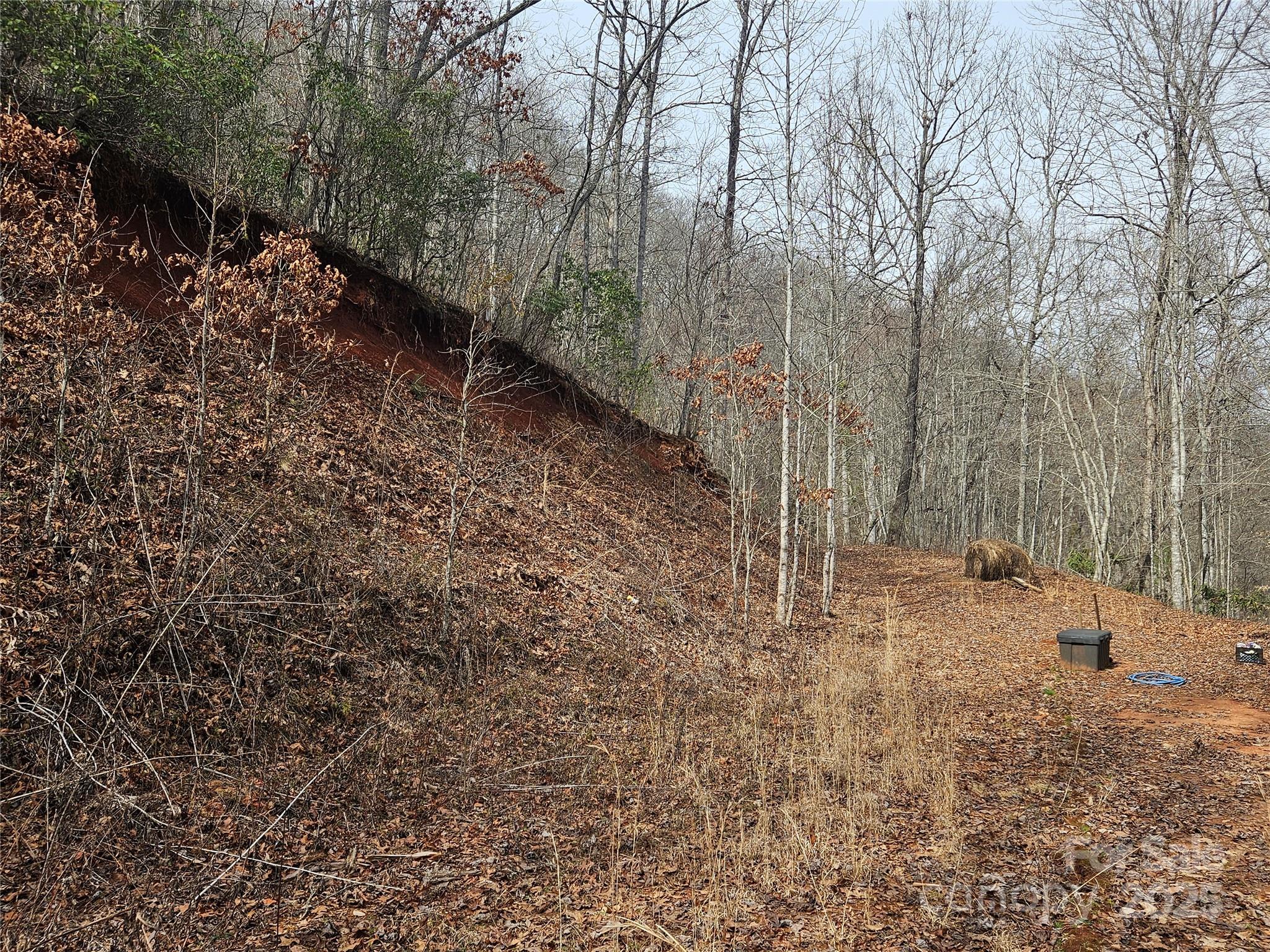 197 Plainview Ridge Sylva, NC 28779 - Photo 2 of 8 a backyard of a house with lots of green space