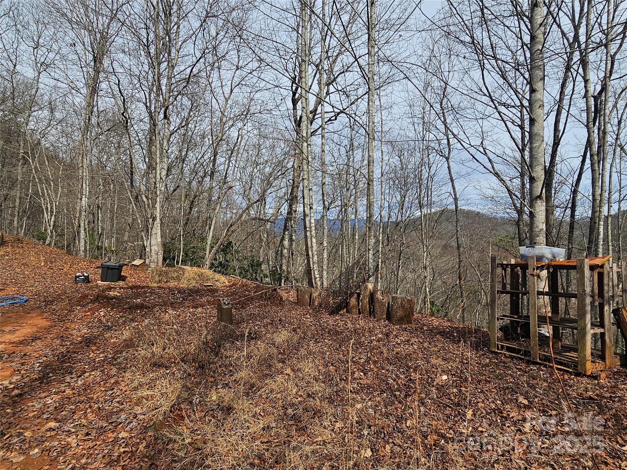 197 Plainview Ridge Sylva, NC 28779 - Photo 3 of 8 a view of a backyard with trees