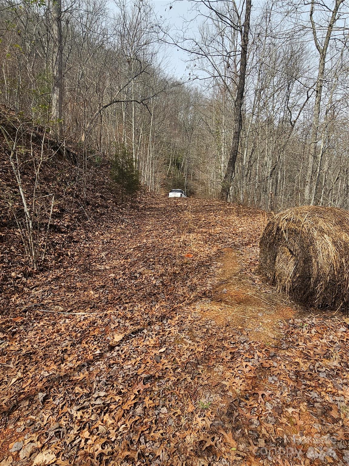 197 Plainview Ridge Sylva, NC 28779 - Photo 4 of 8 a view of outdoor space and yard