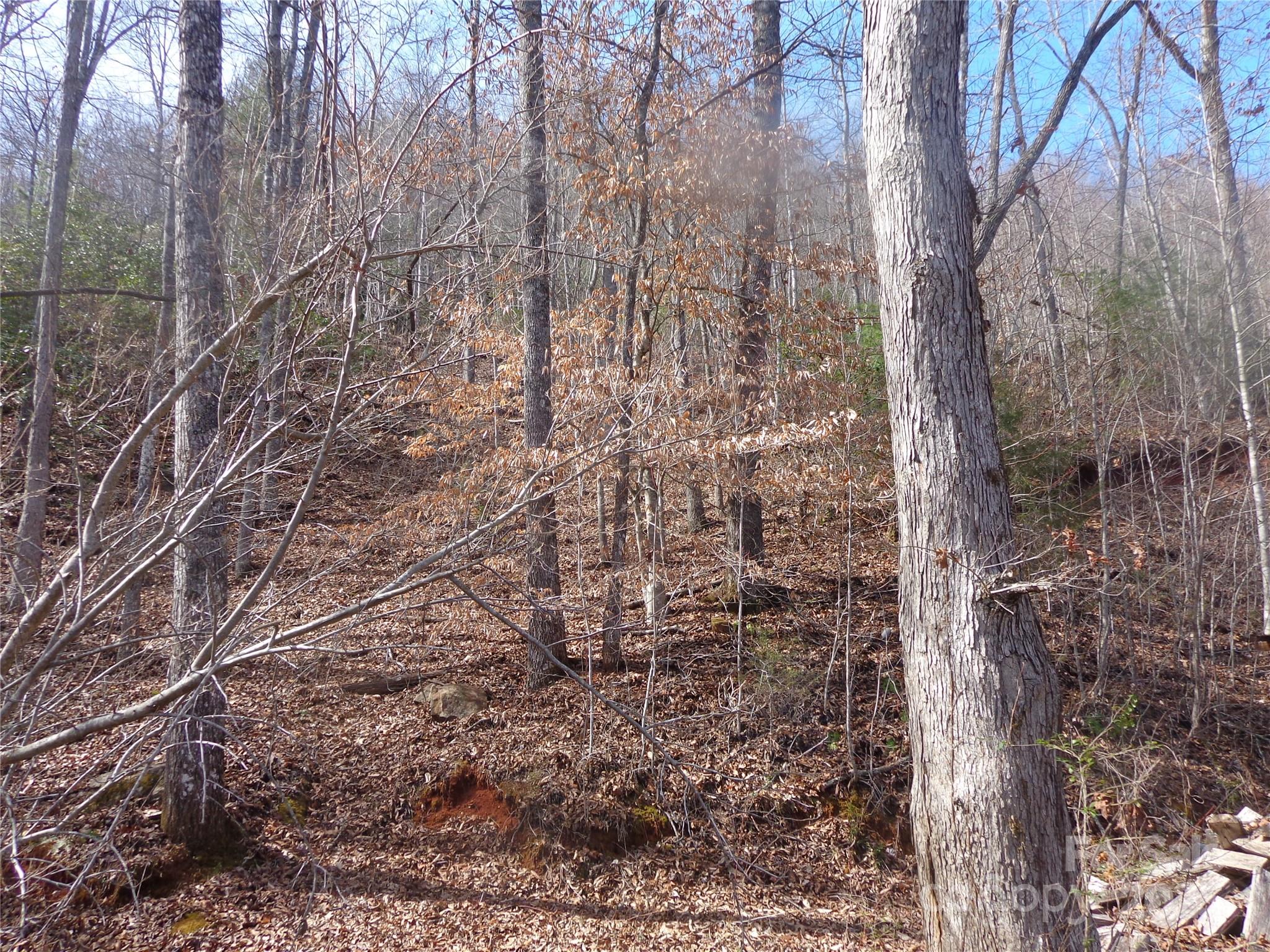197 Plainview Ridge Sylva, NC 28779 - Photo 8 of 8 a aerial view of a house with a yard