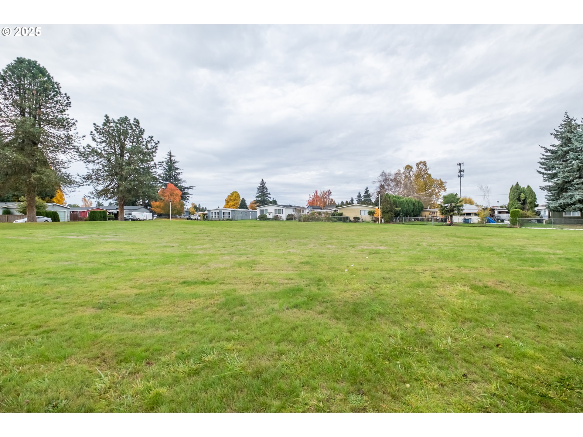 3223 Comber Court Northeast Salem, OR 97305 - Photo 33 of 39 a view of a big yard with a large trees