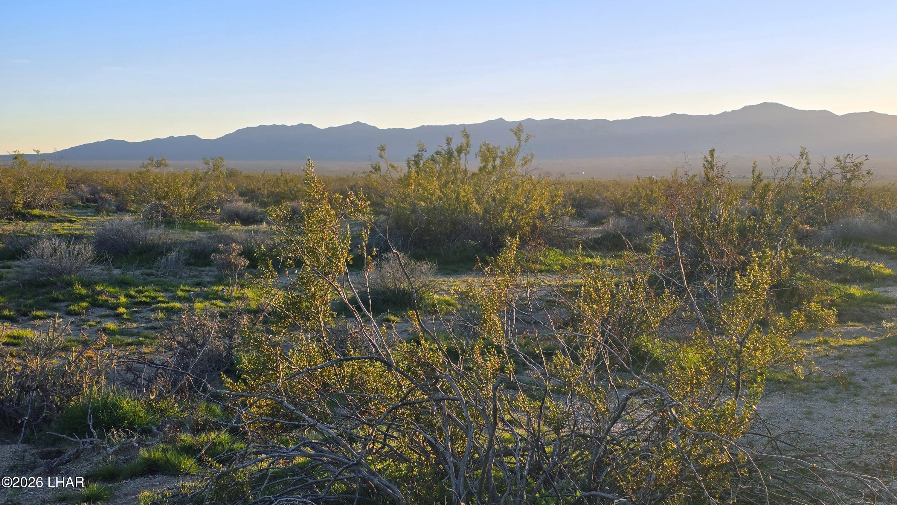 2455 South Lone Ranger Road Yucca, AZ 86438 - Photo 15 of 24 20260119_173313