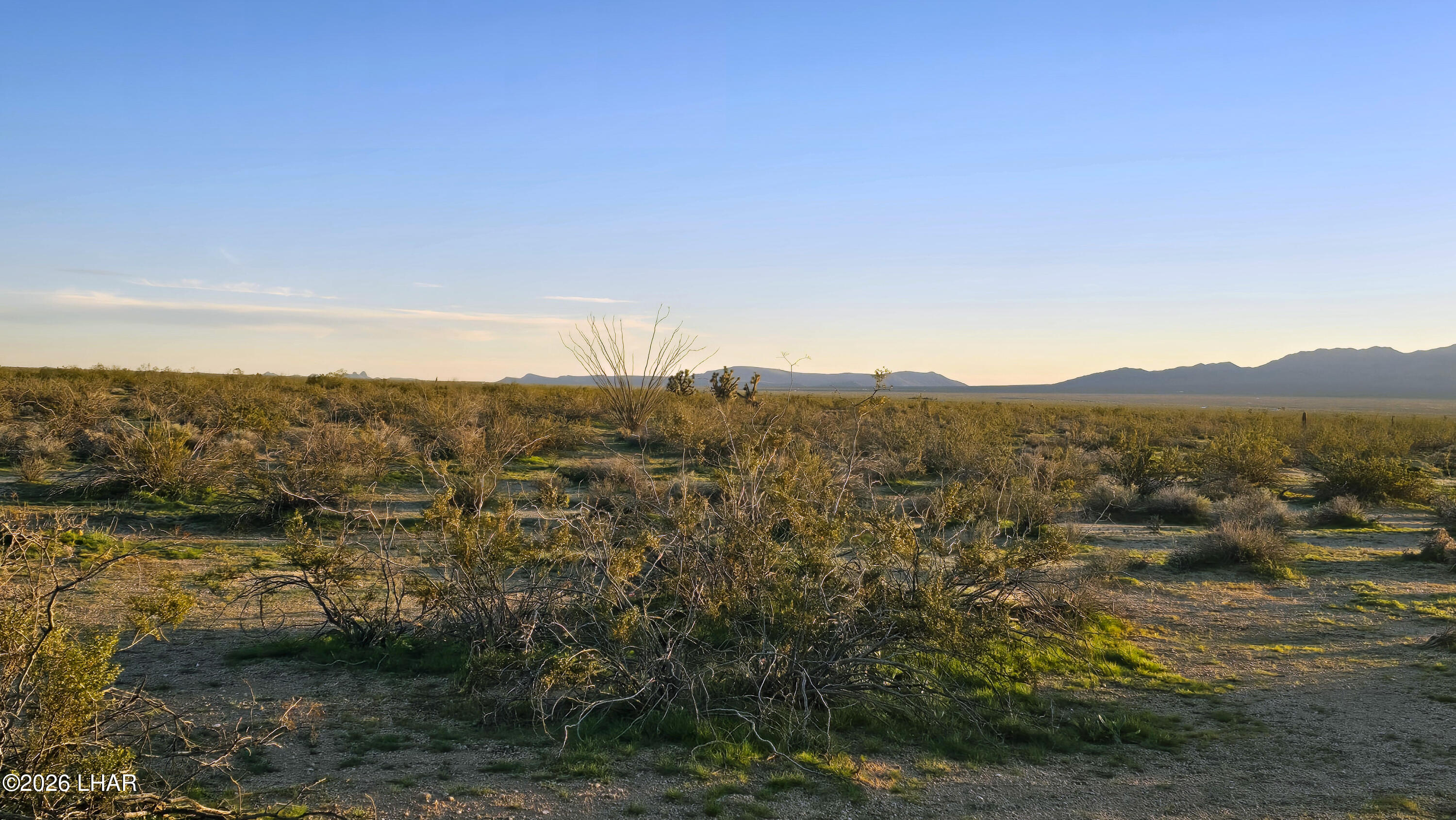 2455 South Lone Ranger Road Yucca, AZ 86438 - Photo 20 of 24 20260119_173515