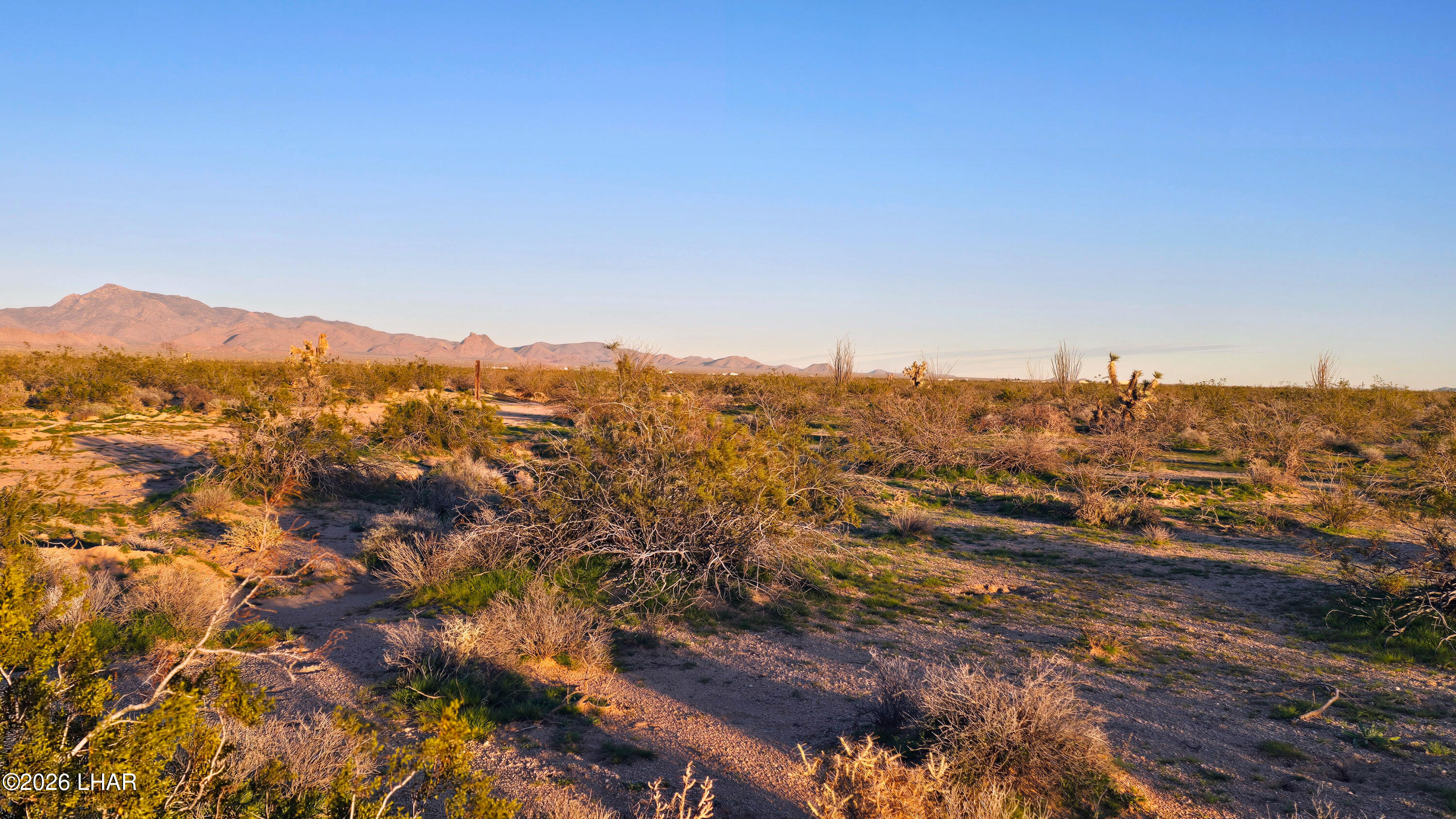 2455 South Lone Ranger Road Yucca, AZ 86438 - Photo 23 of 24 20260119_173511_1