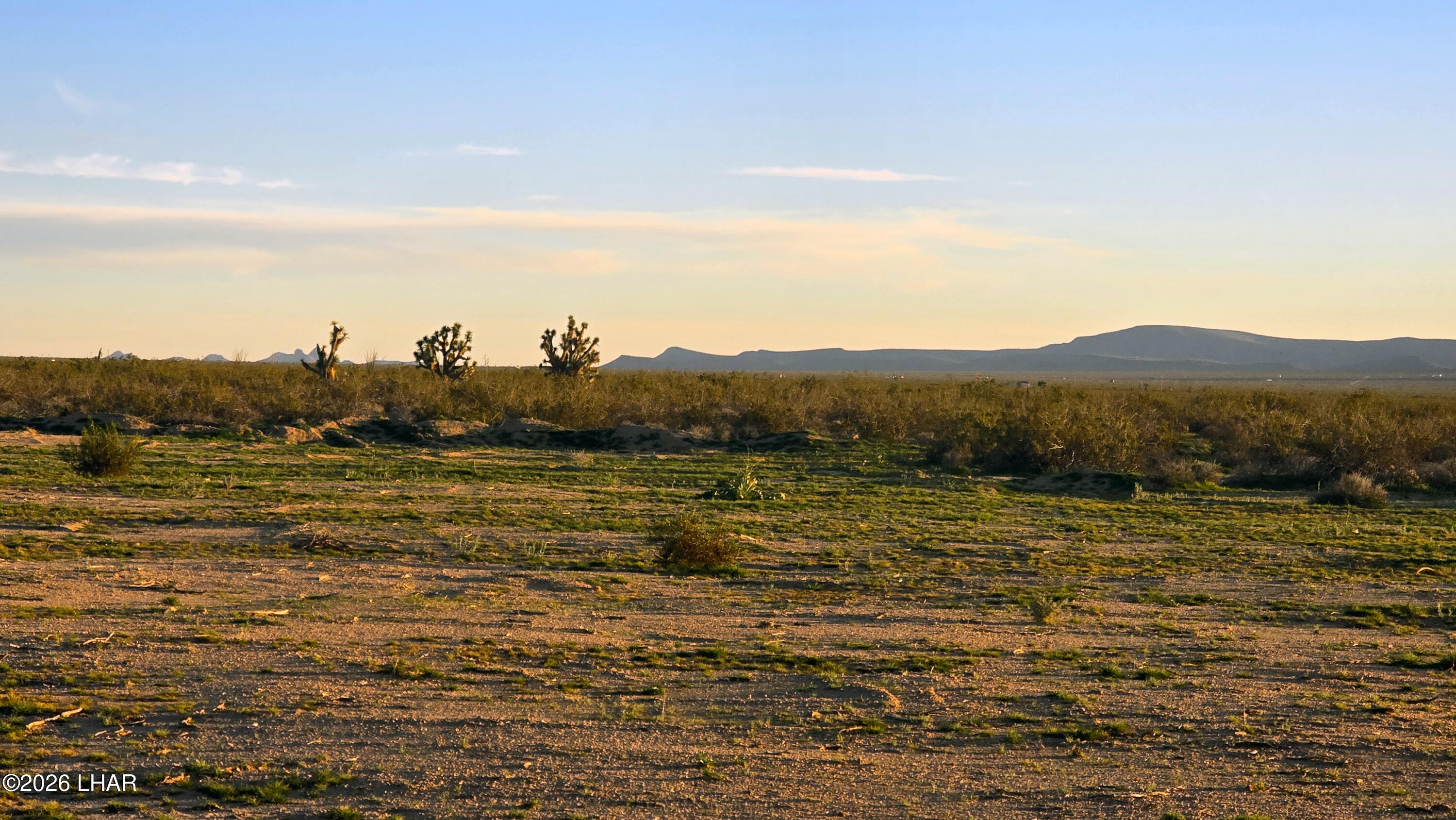 2455 South Lone Ranger Road Yucca, AZ 86438 - Photo 8 of 24 20260119_173359