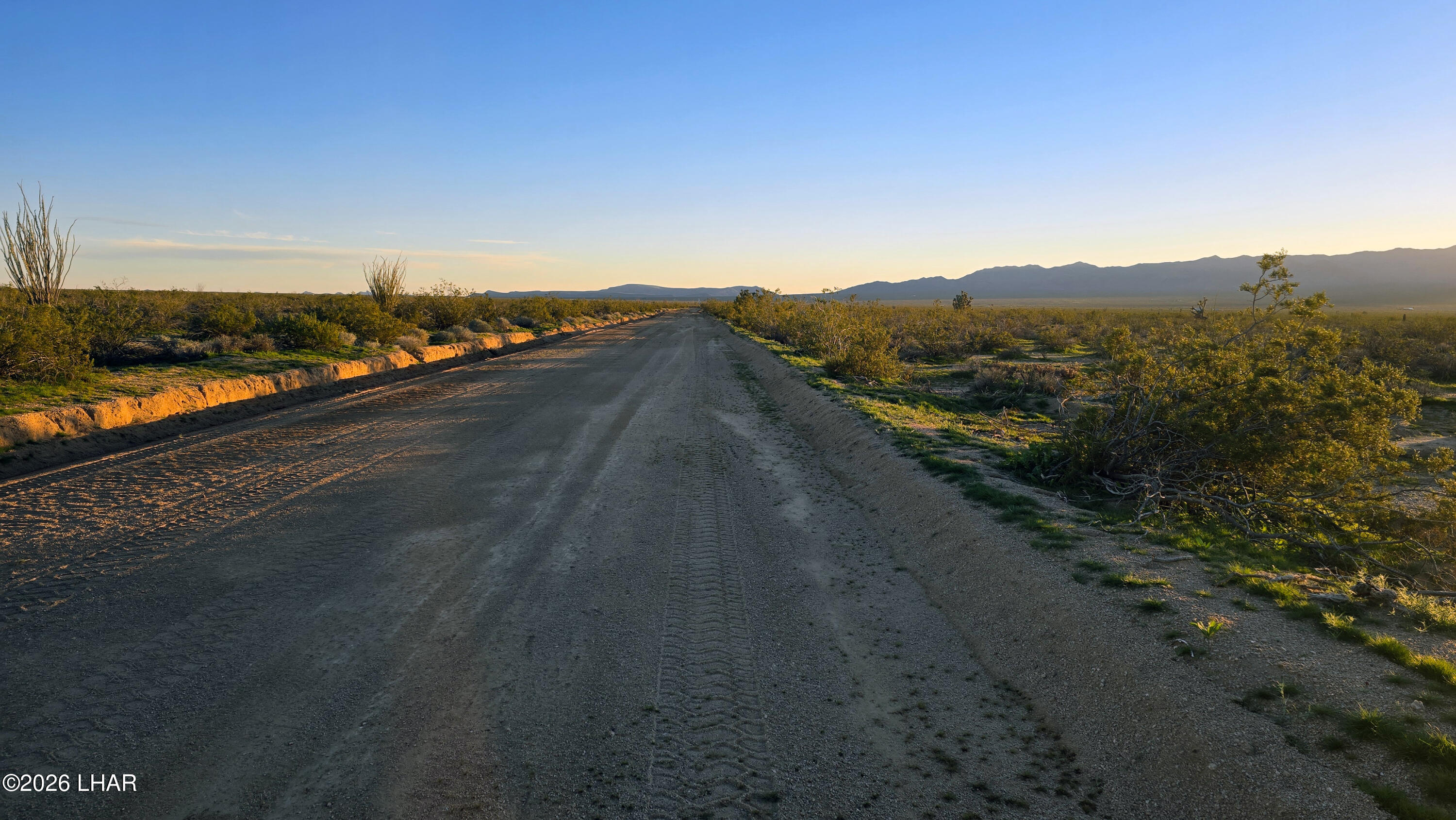 2455 South Lone Ranger Road Yucca, AZ 86438 - Photo 10 of 24 20260119_173831