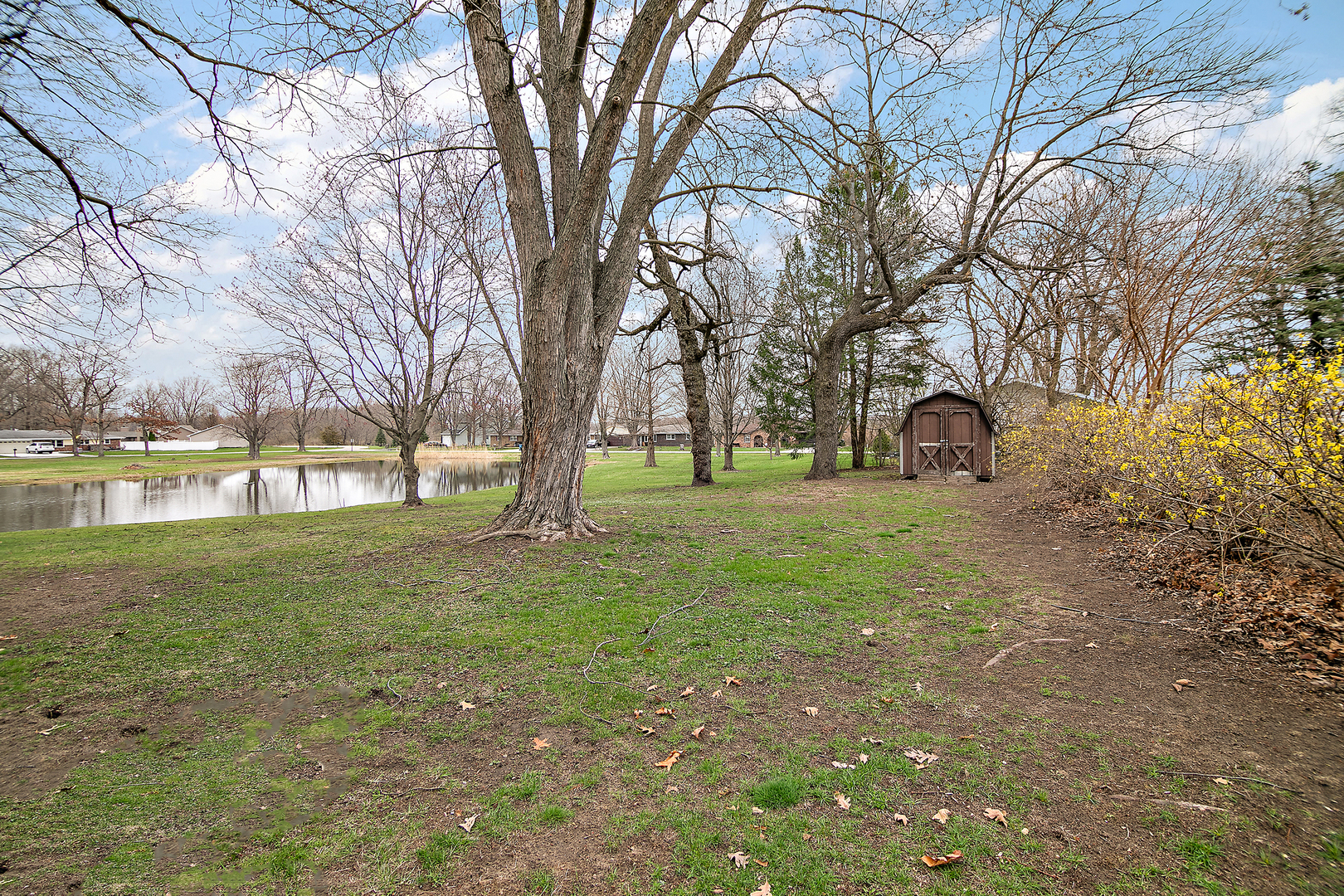 1173 Cecil Drive Kankakee, IL 60901 - Photo 20 of 32 a view of a garden with trees