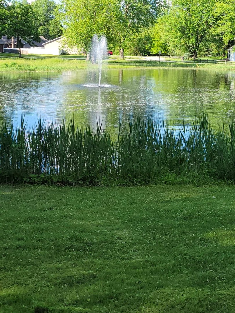 1173 Cecil Drive Kankakee, IL 60901 - Photo 30 of 32 a view of a lake
