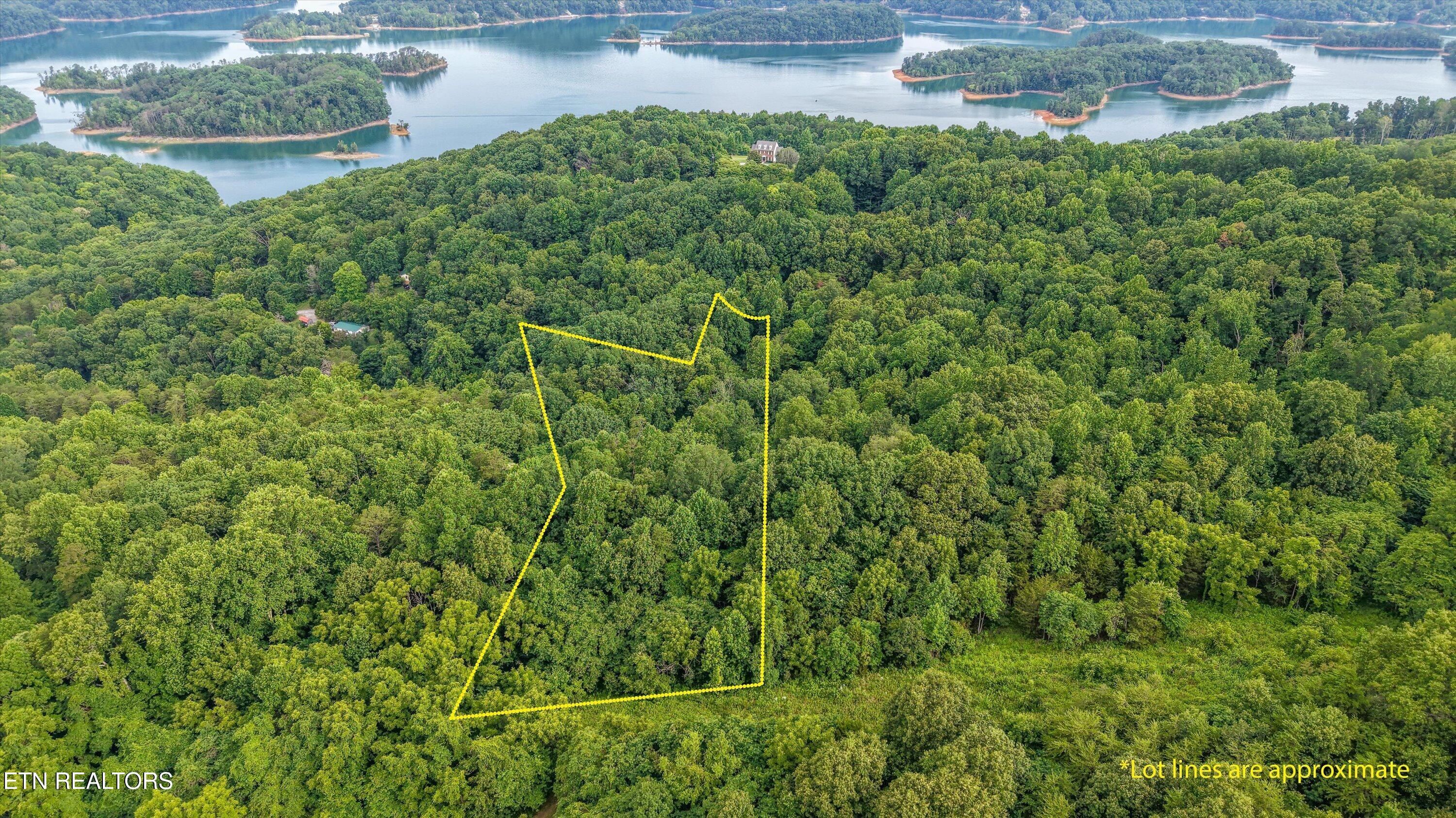 Lot 2 Graves Hollow Road Maynardville, TN 37807 - Photo 7 of 8 7-Graves Hollow Rd05
