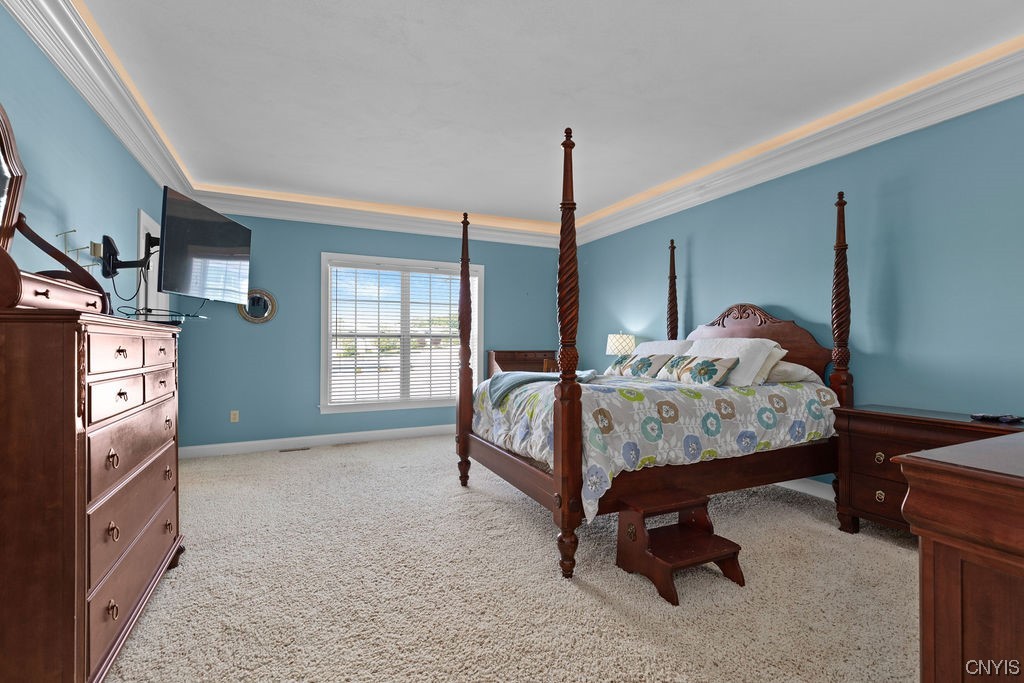 3722 Pegasus Circle Camillus, NY 13209 - Photo 24 of 50