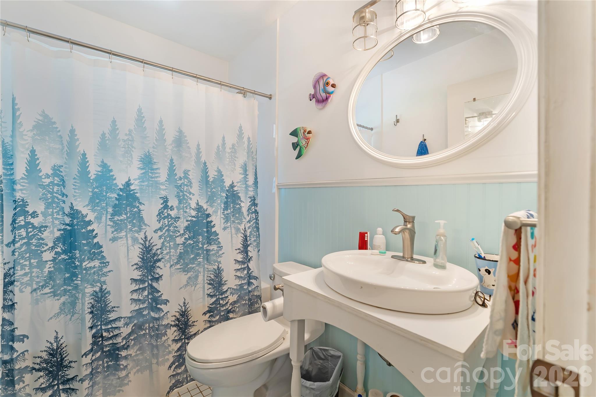 6268 Long Island Road Catawba, NC 28609 - Photo 20 of 38 a bathroom with a sink a toilet and a mirror