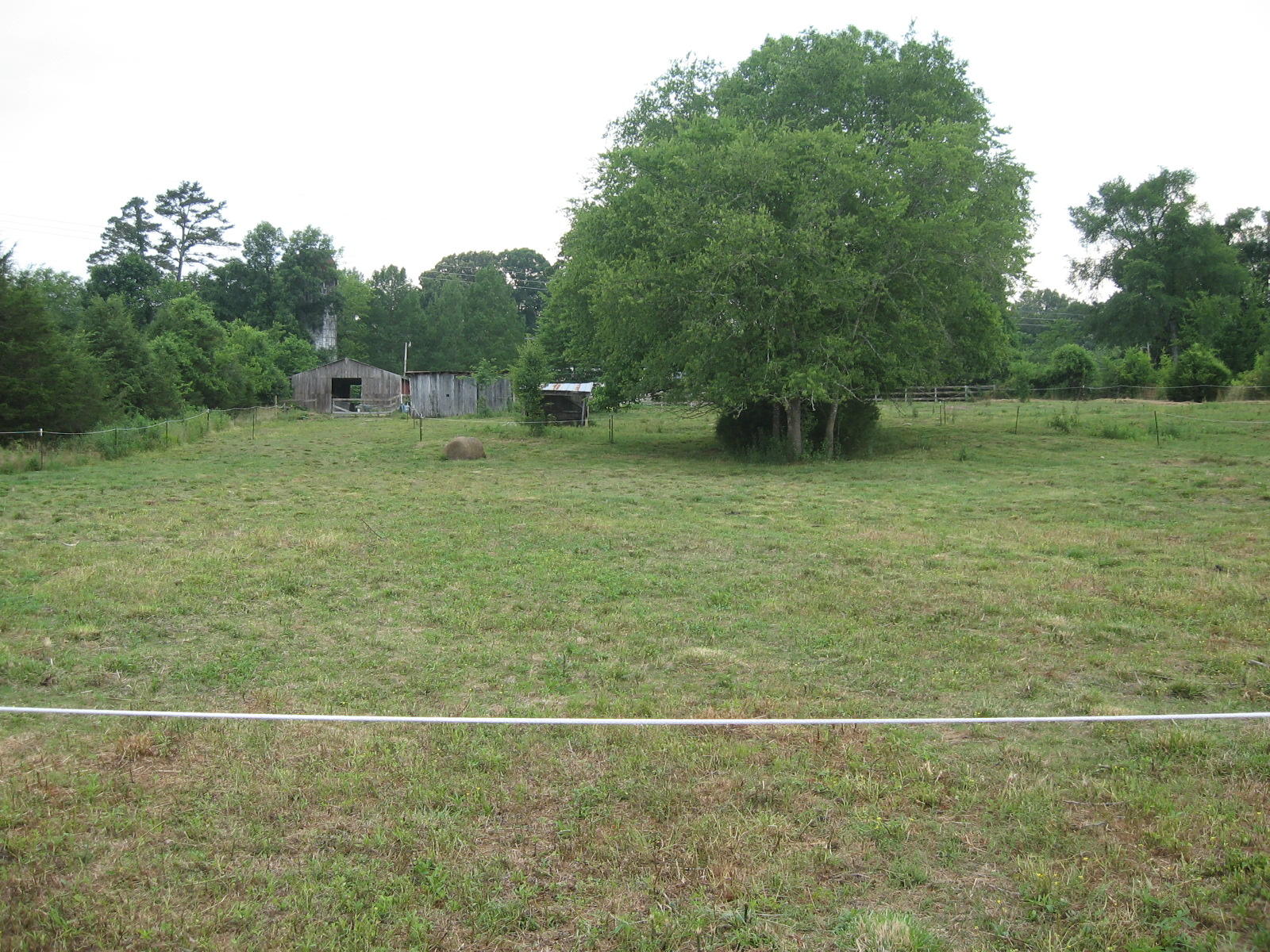 1549 Goodfield Road Decatur, TN 37322 - Photo 22 of 22 Goodfield 009