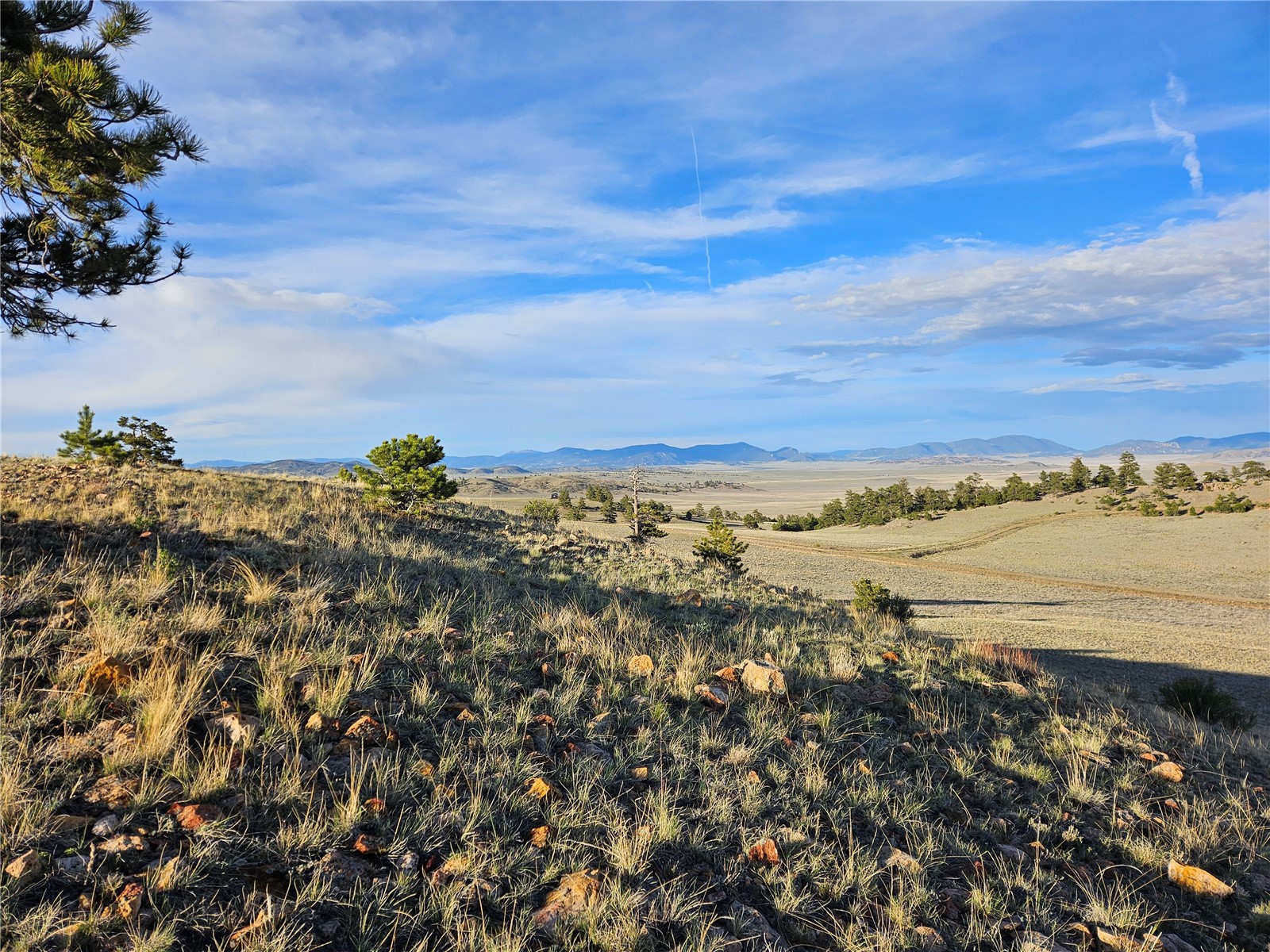 Pcs#24142 Antero Road Hartsel, CO 80449 - Photo 43 of 50