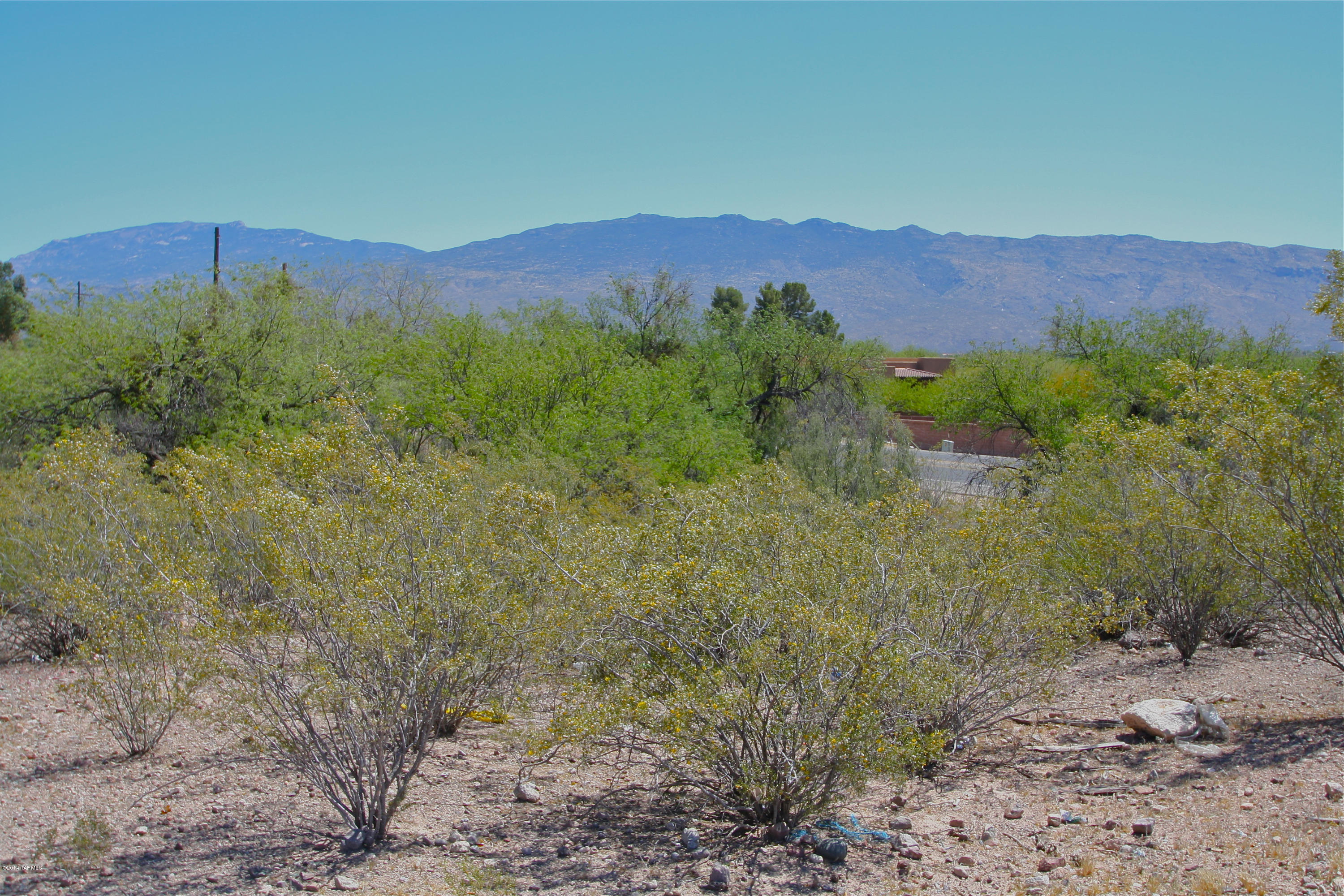 11311 East Tanque Verde Road Tucson, AZ 85749 - Photo 1 of 10 Gallery Image 1