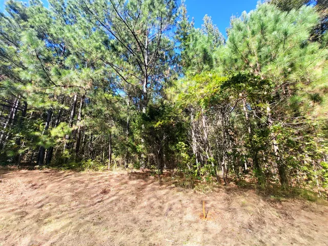 a view of empty yard with trees