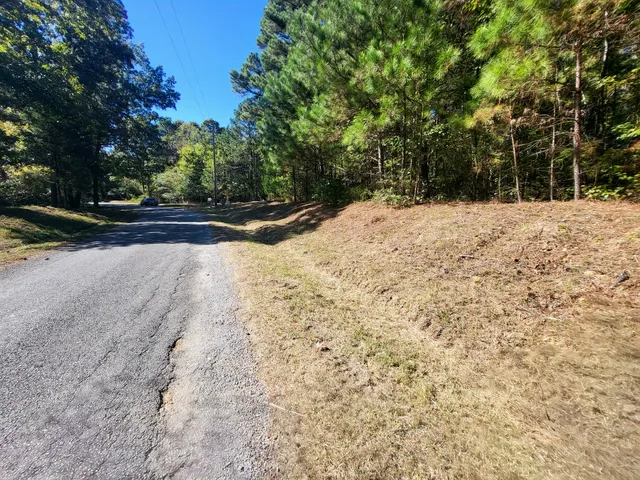 a view of outdoor space and yard