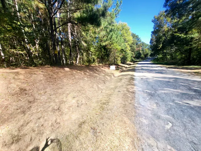 a view of outdoor space with lots of trees