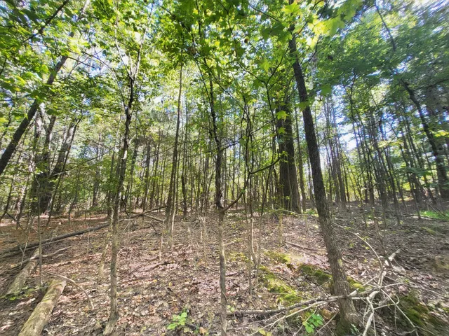 a view of outdoor space with trees