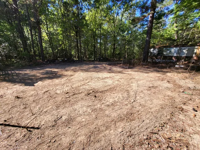 a view of a yard with trees
