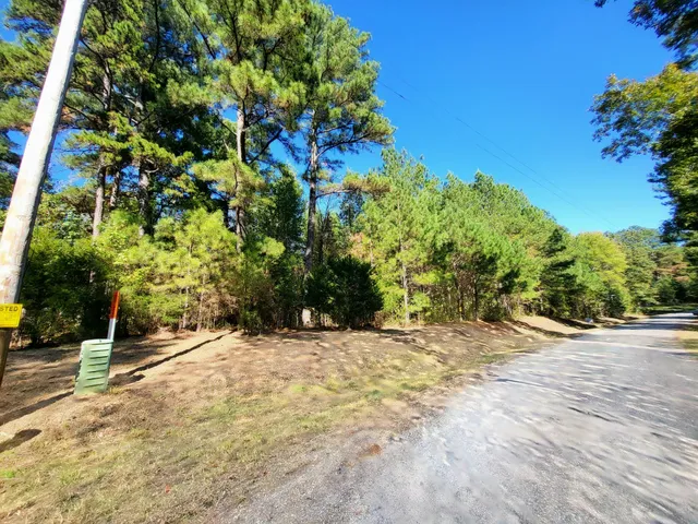 a view of large tree with wooden fence