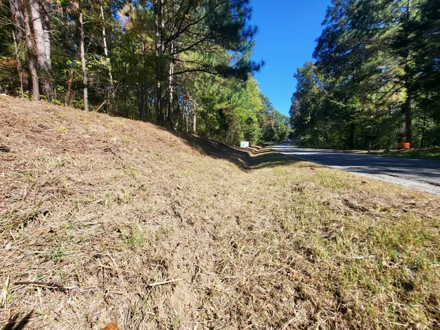 a view of empty yard with trees