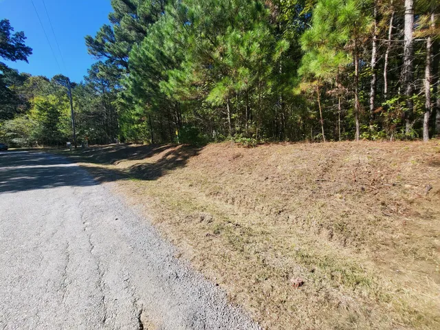a view of a yard with trees