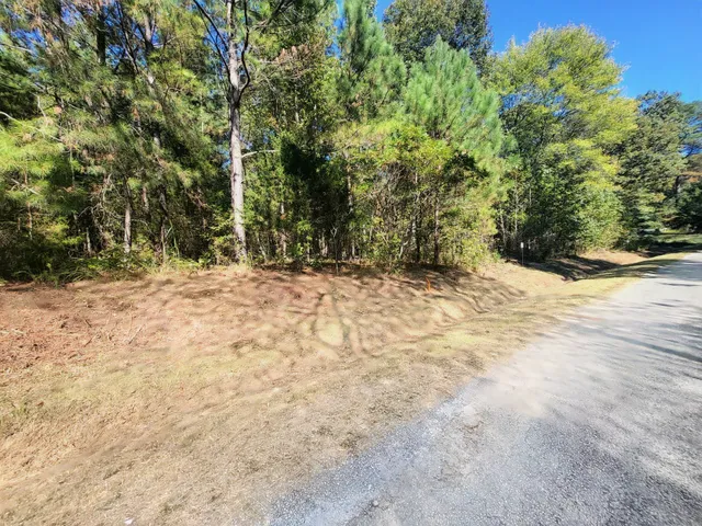 a view of a yard with a tree